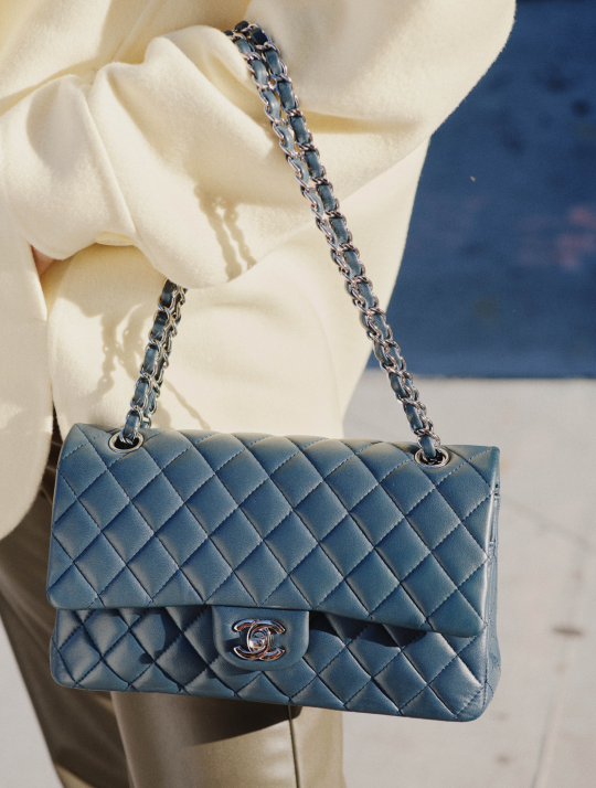 HERO (12) Christian Dior x Rebag